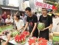 朝阳吃瓜群众网,揭秘娱乐圈幕后故事，带你领略不一样的娱乐圈