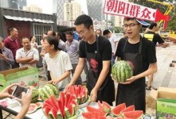 朝阳吃瓜群众网,揭秘娱乐圈幕后故事，带你领略不一样的娱乐圈